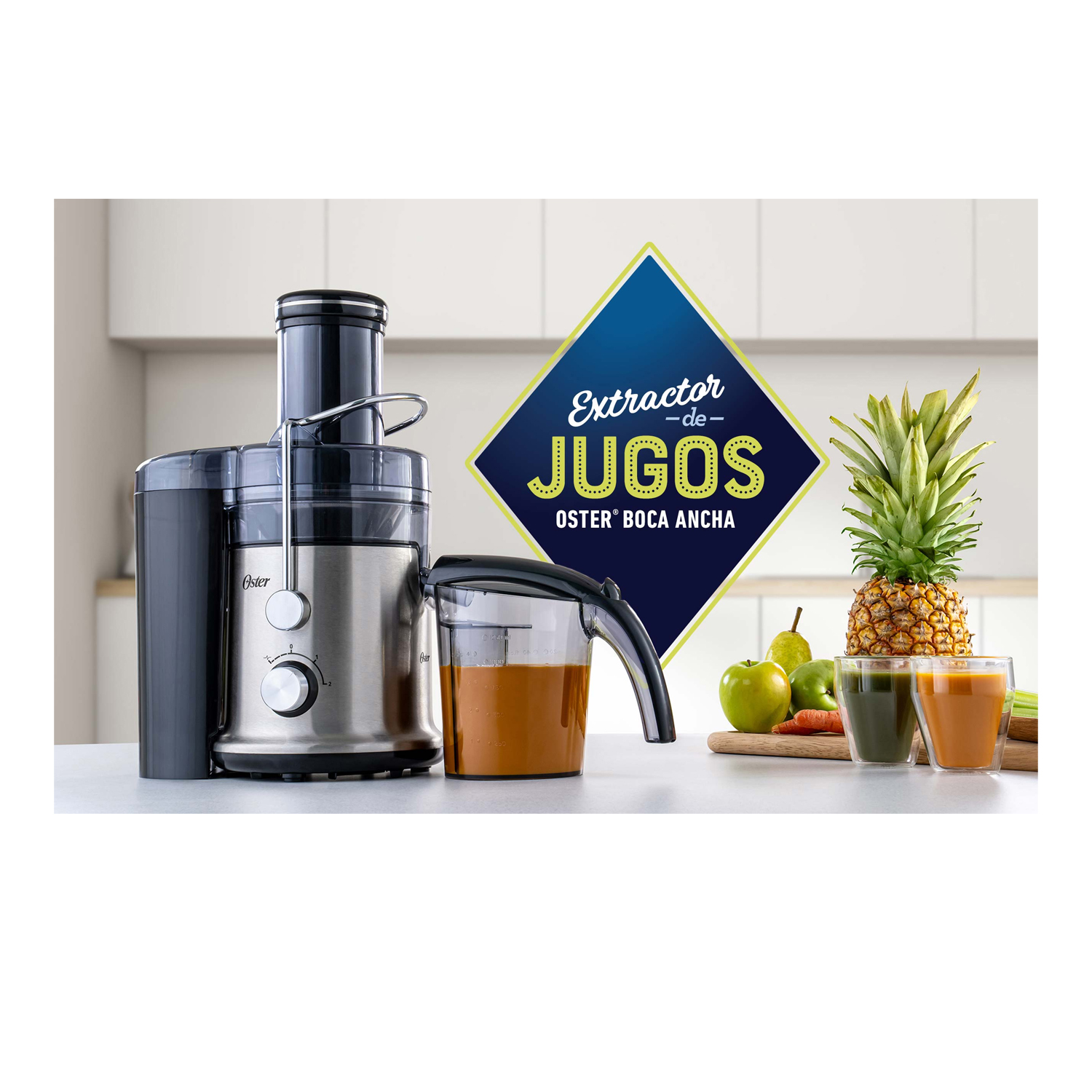 EXTRACTOR OSTER FPSTJE320S 600W JUGOS - 4