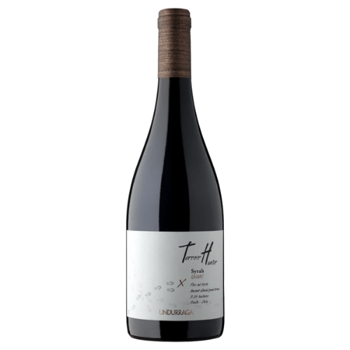 VINO TERROIR HUNTER SYRAH BOTELLA 750ML 2017 - 1