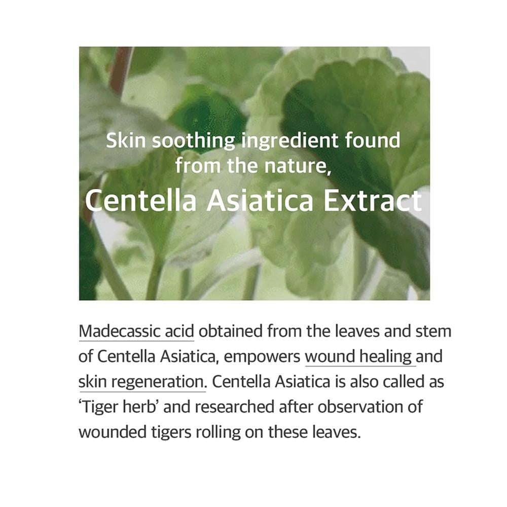 MIXSOON ESENCIA DE CENTELLA ASIÁTICA SOONDY 100 ML – KOREA SKIN CARE - 2