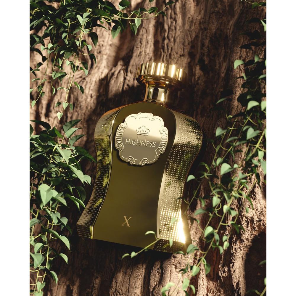 AFNAN HIGHNESS BROWN EAU DE PARFUM UNISEX DE LUJO | 3.4 ONZAS - 5