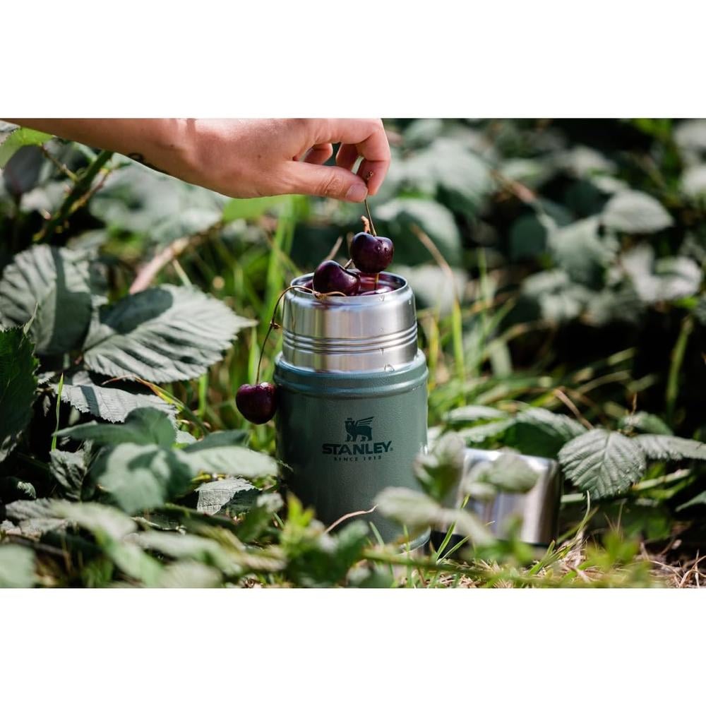 STANLEY – RECIPIENTE PARA ALIMENTOS CON AISLAMIENTO AL VACÍO 24OZ | ROSE QUARTZ - 5