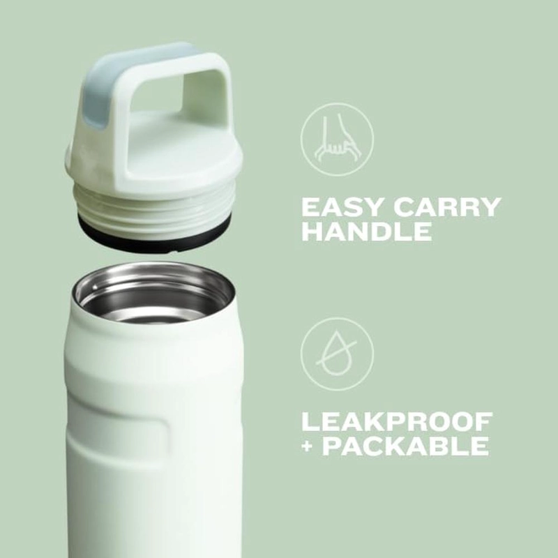 STANLEY – BOTELLA DE AGUA ICEFLOW™ CAP Y CARRY - 24OZ | LAVENDER - 6