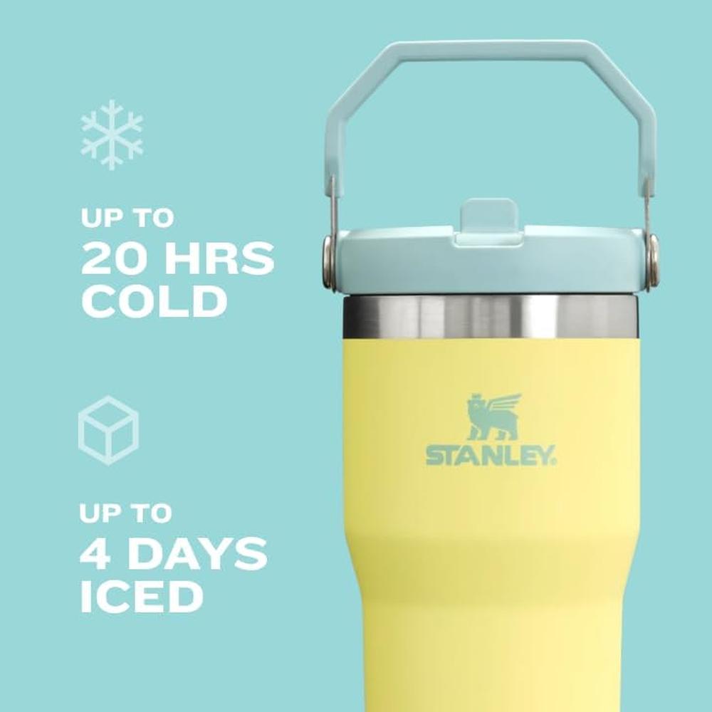 STANLEY ICEFLOW 2.0 FLIP STRAW TUMBLER WITH HANDLE 30 OZ | FROST - 5