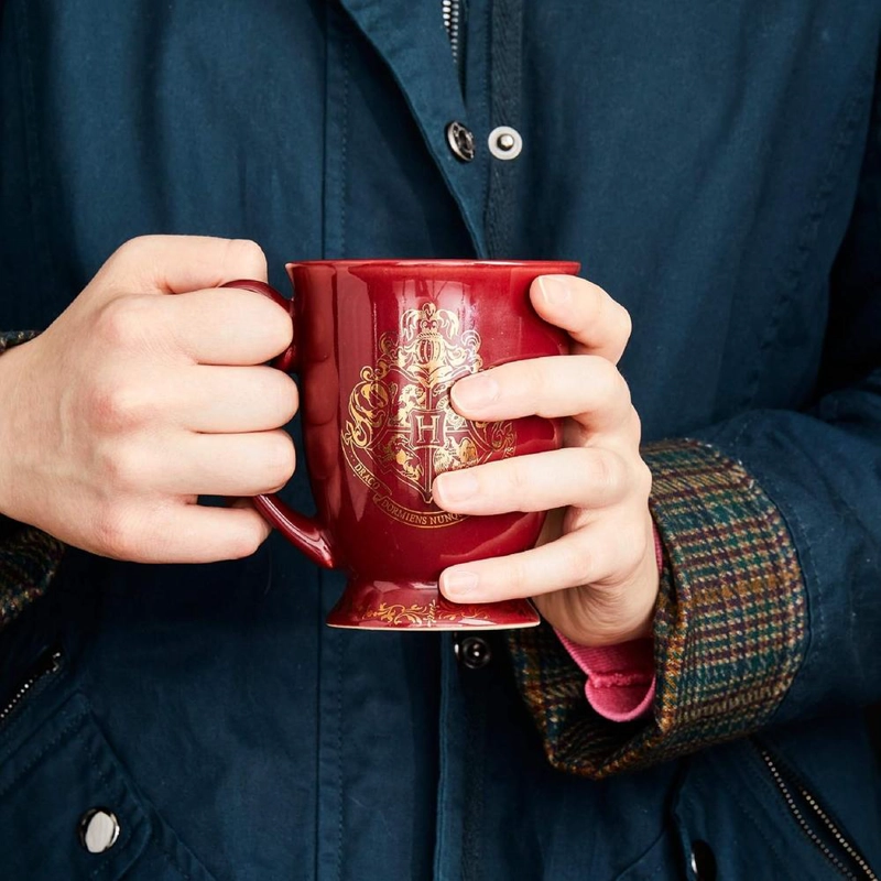 PALADONE HARRY POTTER, TAZA HOGWARTS 280 ML - 6