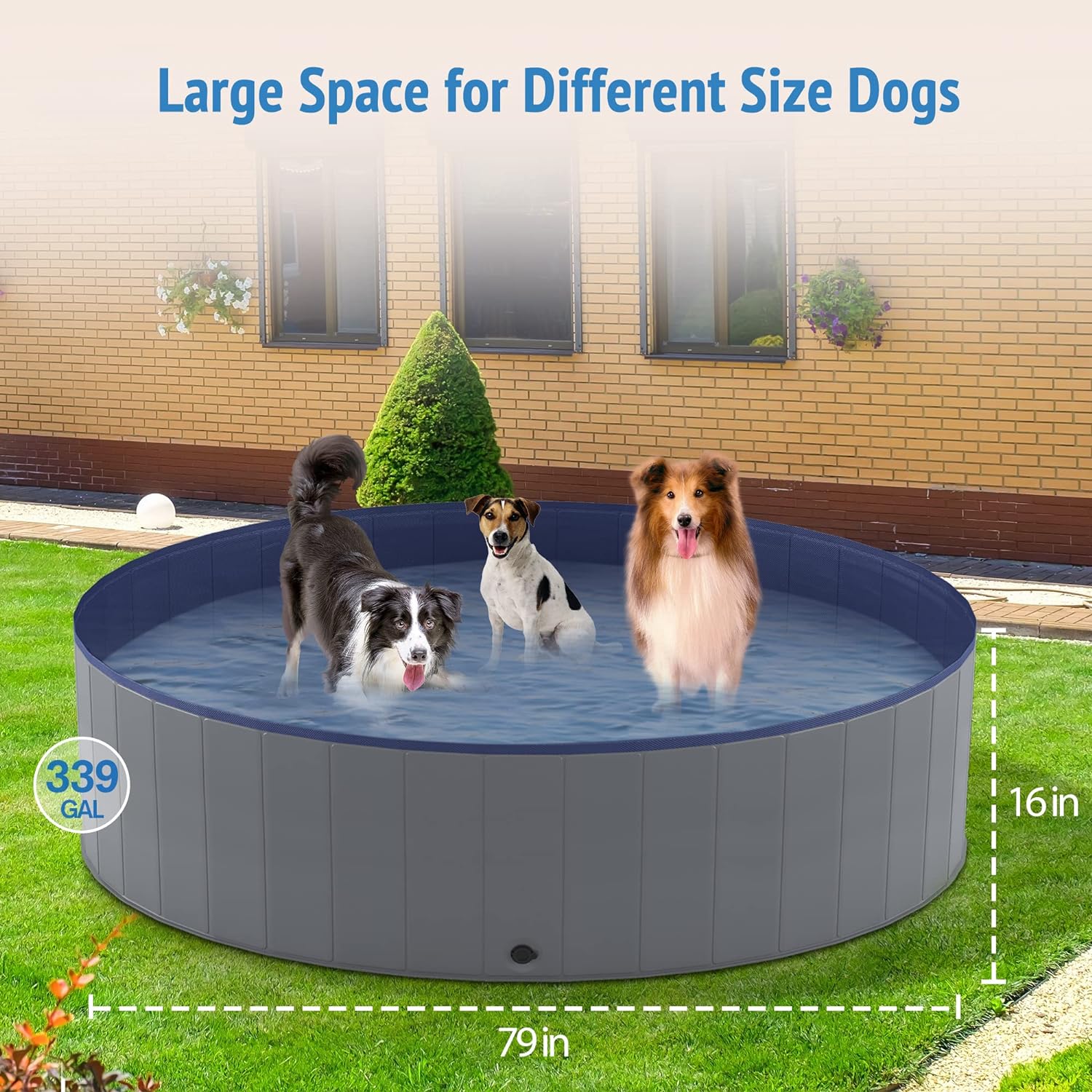 NIUBYA PISCINA PORTÁTIL PARA PERROS, PISCINA PLEGABLE PARA MASCOTAS, 79 X 16 PULGADAS - 5