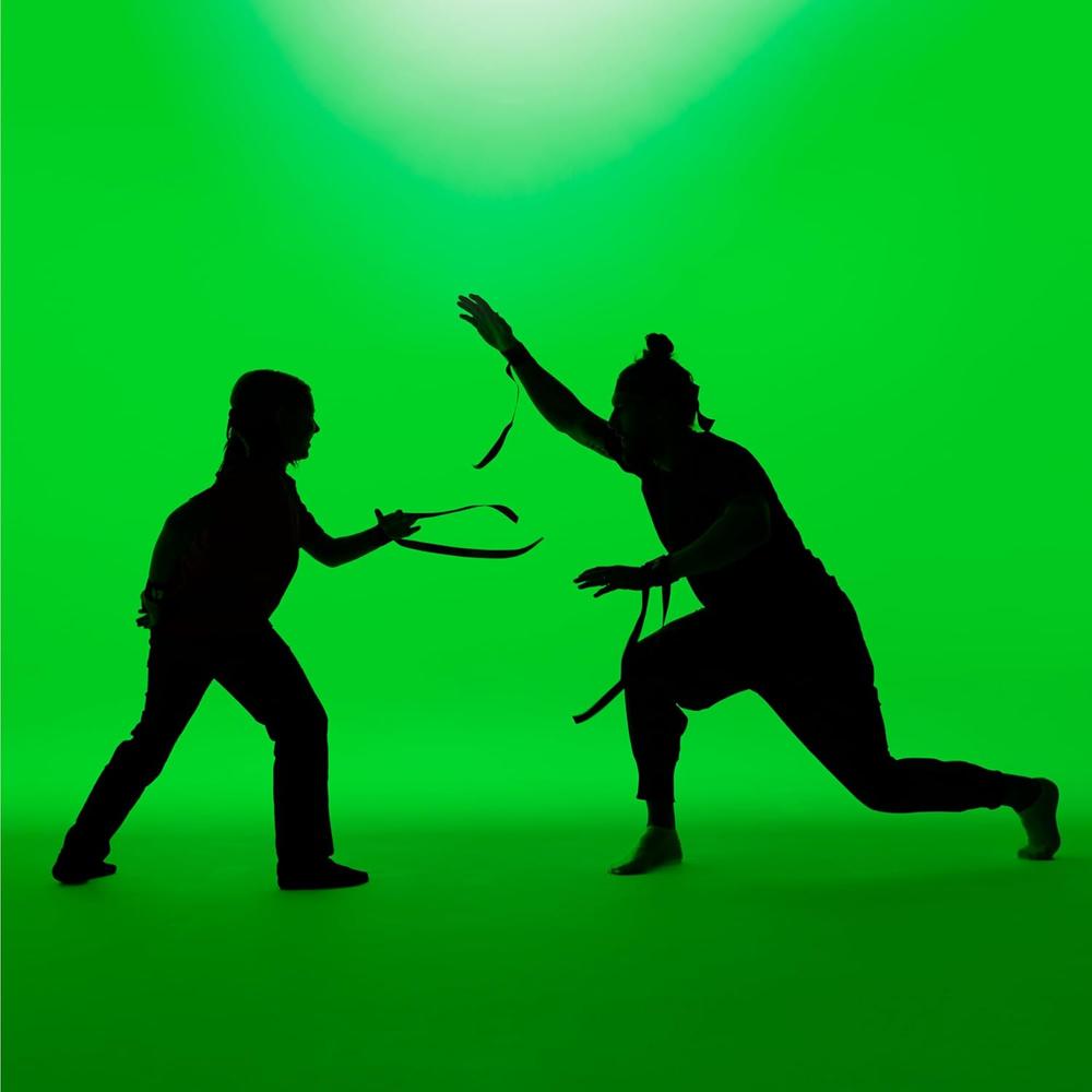 JUEGO NINJA DE CINTAS FAT BRAIN TOYS - 5