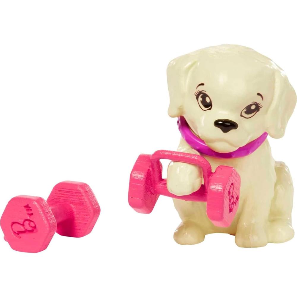 BARBIE MUÑECA MORENA CON CACHORRO SET EJERCICIO - 4