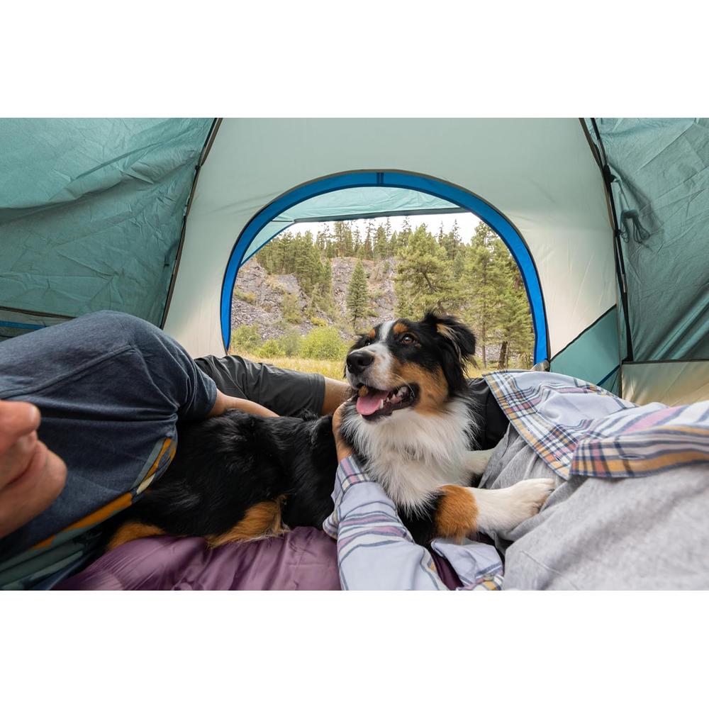 TIENDA DE CAMPAÑA COLEMAN SKYDOME PFAS FREE 4 PERSONAS EVERGREEN - 2