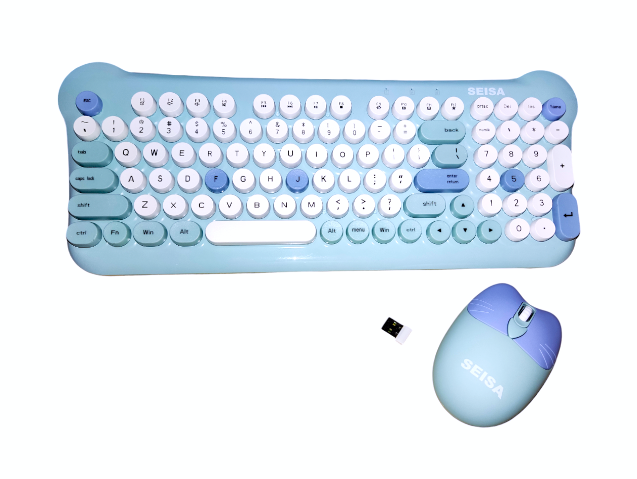 TECLADO Y MOUSE KIT INALÁMBRICO DN C700 - 4
