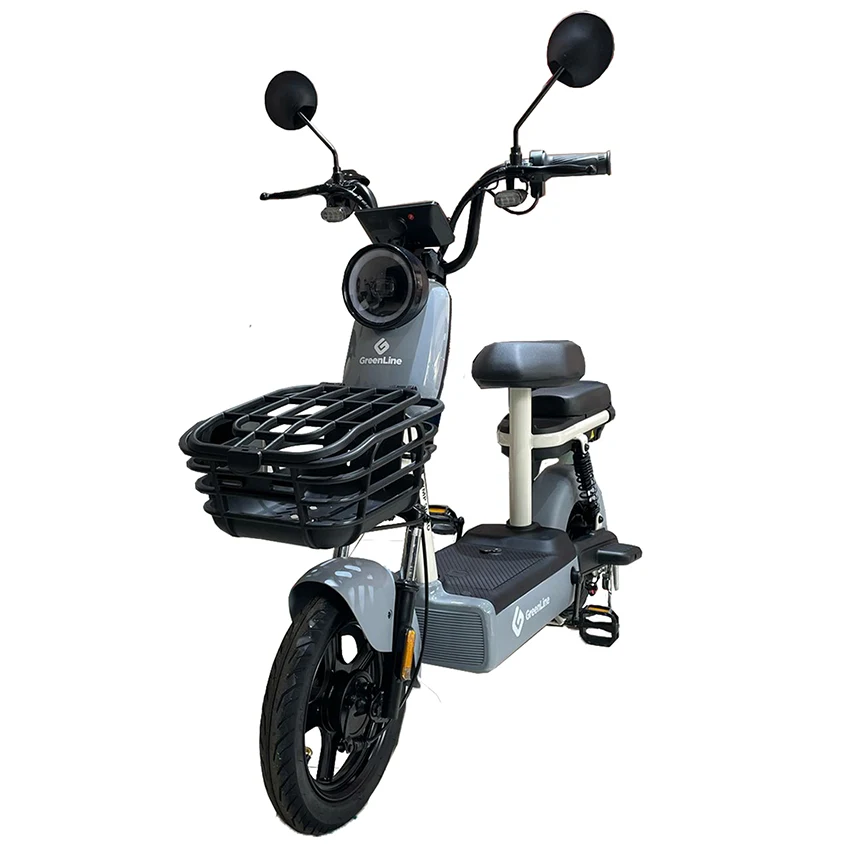 VEHÍCULO DE MOVILIDAD PERSONAL (VMP) S6PRO GRIS - 1