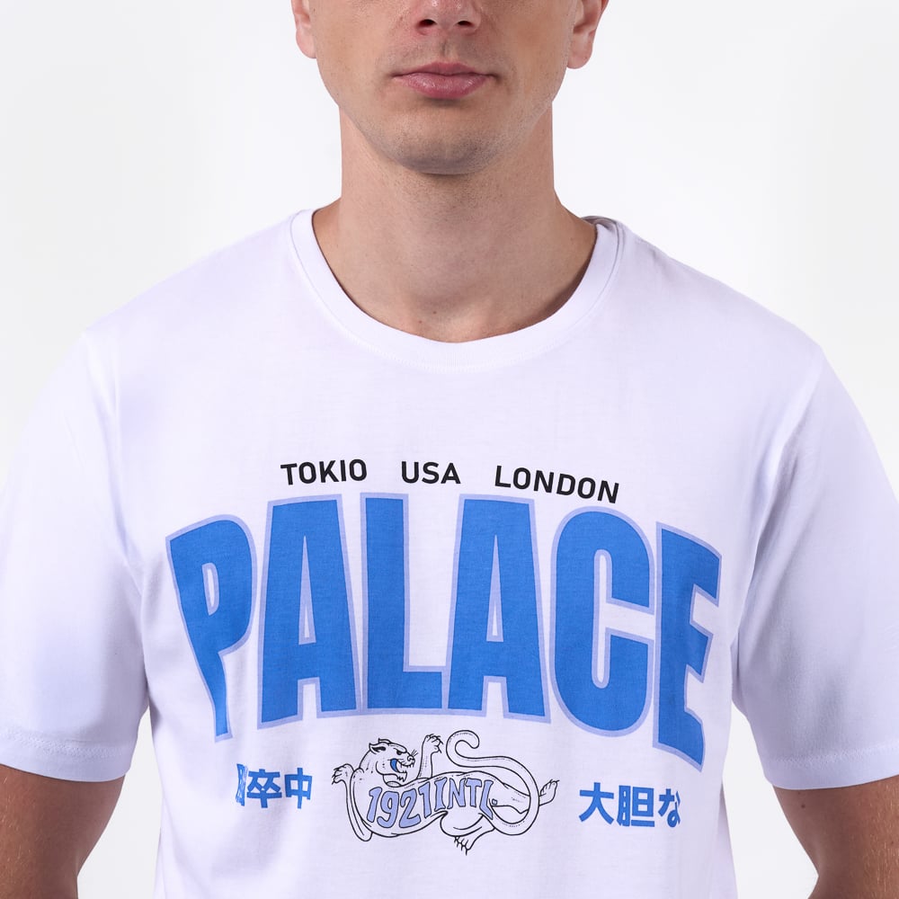 POLO IP26/FELINE-P JERSEY - 3