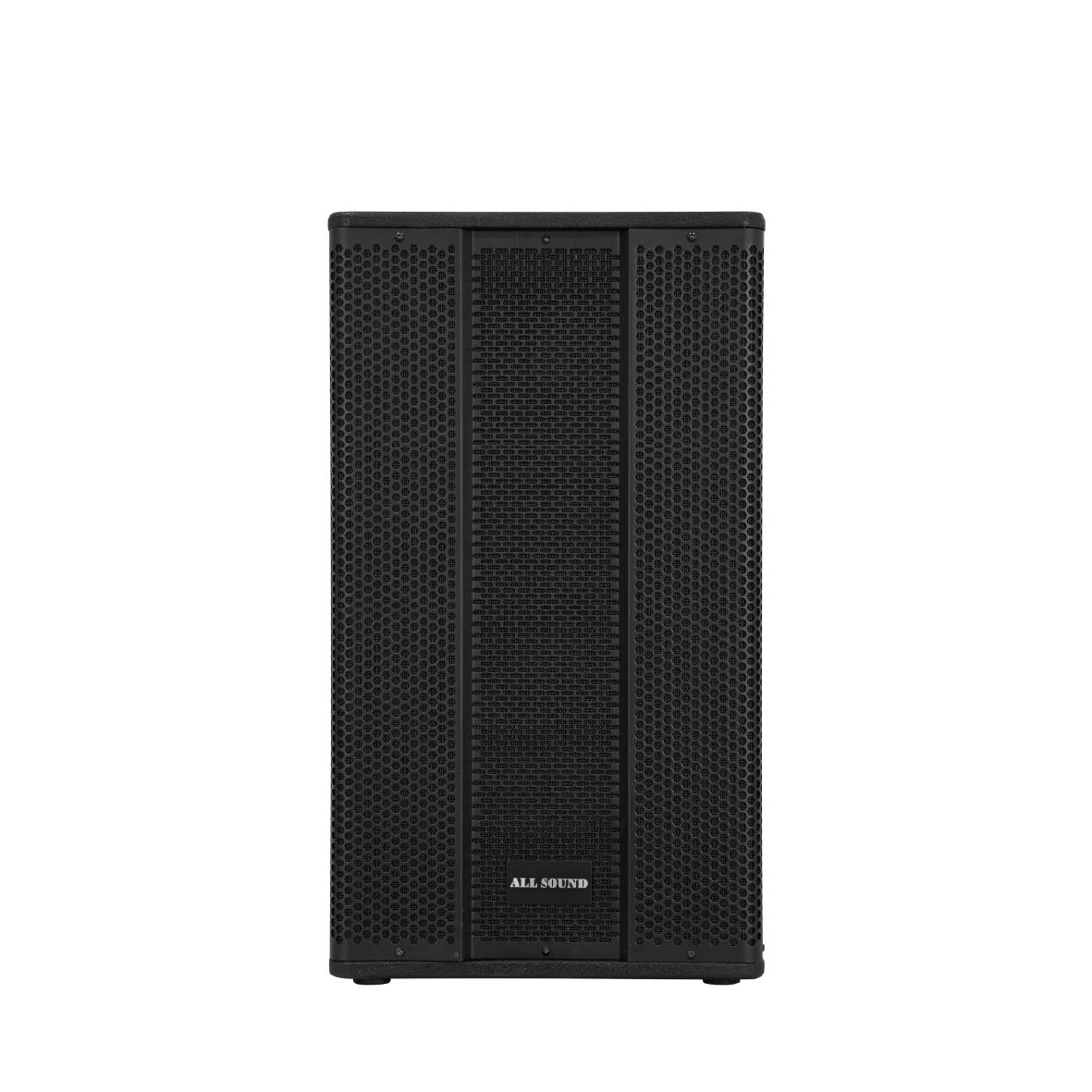 PARLANTE ACTIVO PROFESIONAL DE MADERA 15 DSP ALL SOUND - P-MT45N - 2