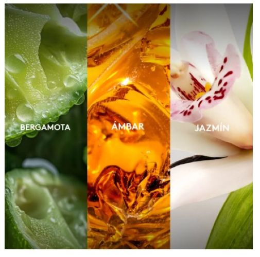 VIBRANZA LUMINOUS PERFUME DE MUJER ESIKA - 2