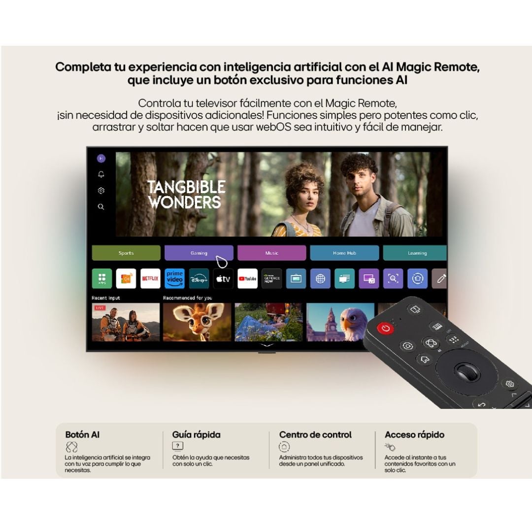 CONTROL LG AI MAGIC REMOTE 2025 MR25GA - 6