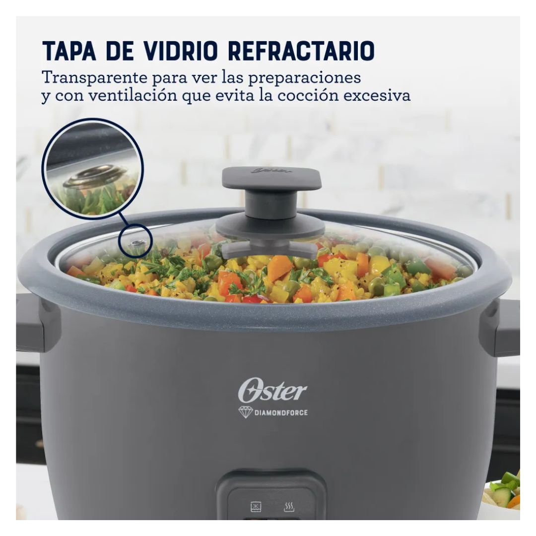 ARROCERA OSTER DIAMONDFORCE 10 TAZAS GRIS - CKSTRCB10DFSKE - 7