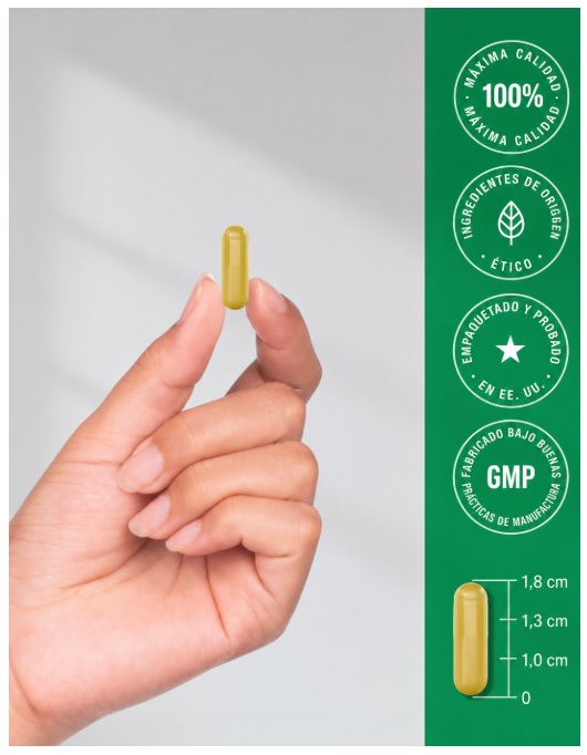 BERBERINA CON CANELA DE CEILÁN 2000 MG 120 CAP – HORBÄACH - 6