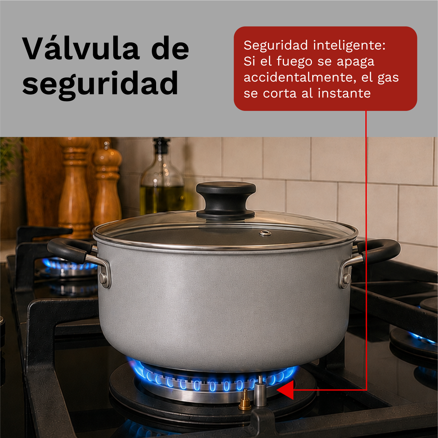 COCINA EMPOTRABLE A GAS KLIMATIC AOSTA 90 5HORNILLAS - 5