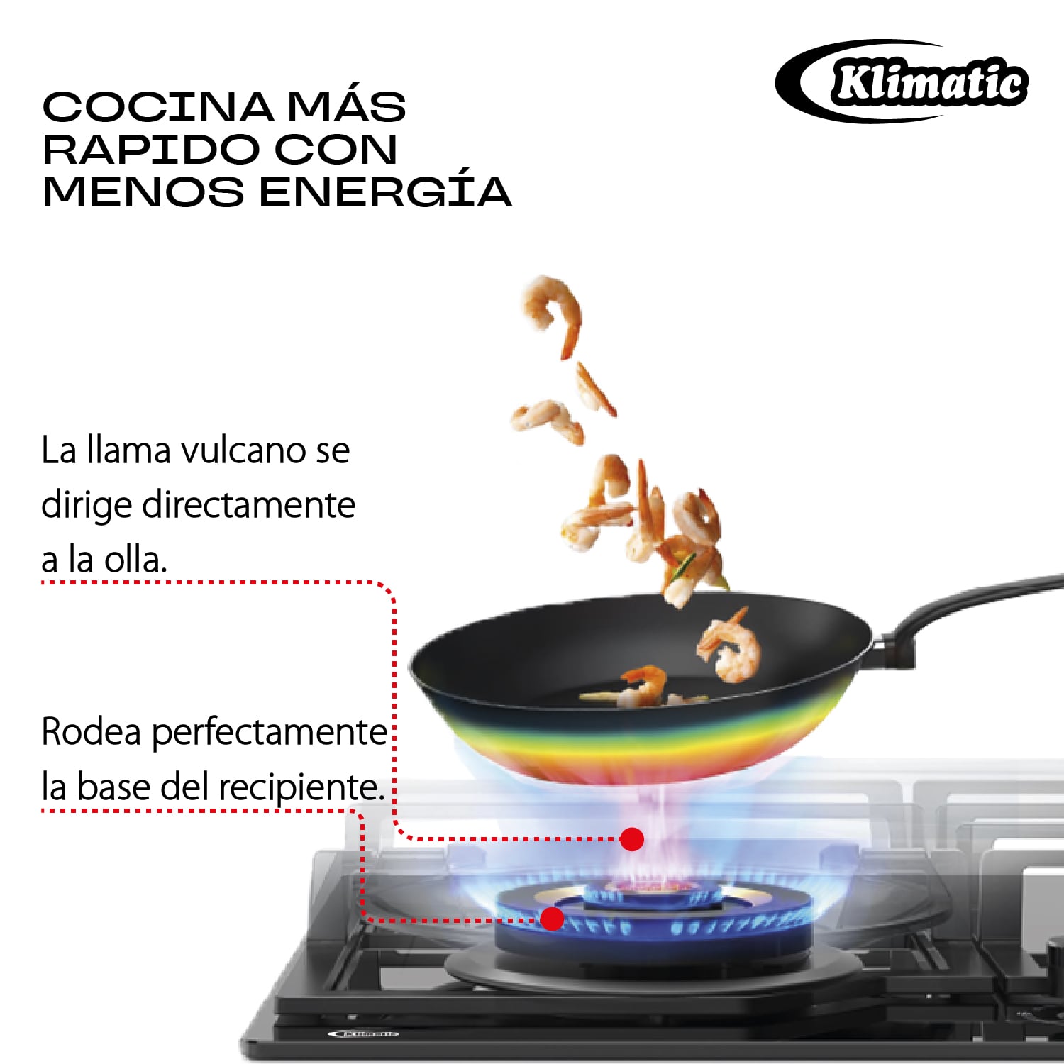 COCINA EMPOTRABLE A GAS - VULCANO 5 - 4