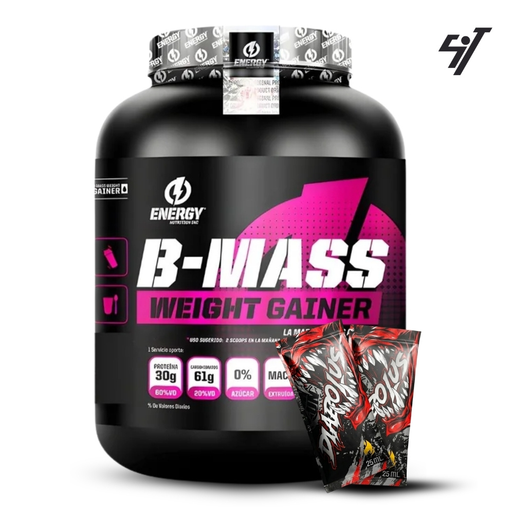 GANADOR DE PESO ENERGY NUTRITION B-MASS 2.4KG CHOCOLATE - 1