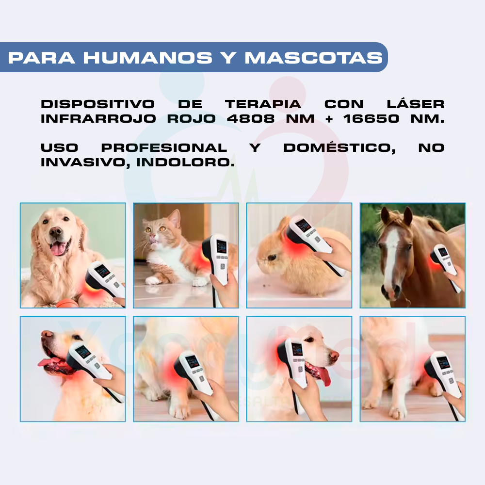 LÁSER PARA TERAPIA DIGITAL RECARGABLE - 650 NM A 808 NM - 5