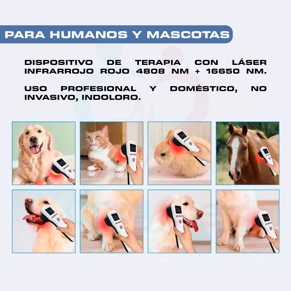 LÁSER PARA TERAPIA DIGITAL RECARGABLE - 650 NM A 808 NM - 6