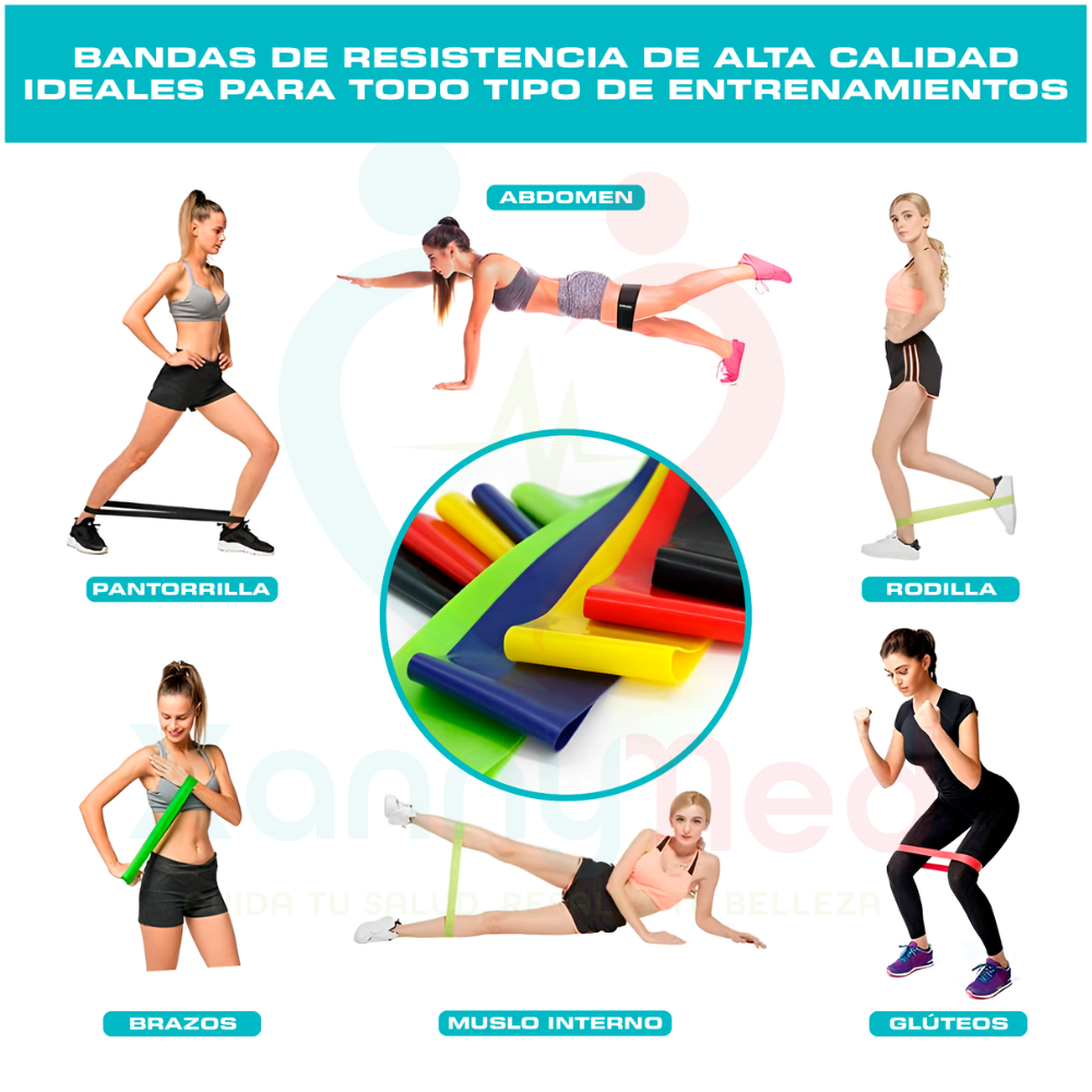 CAJA DE BANDAS ELASTICAS CERRADAS - 5