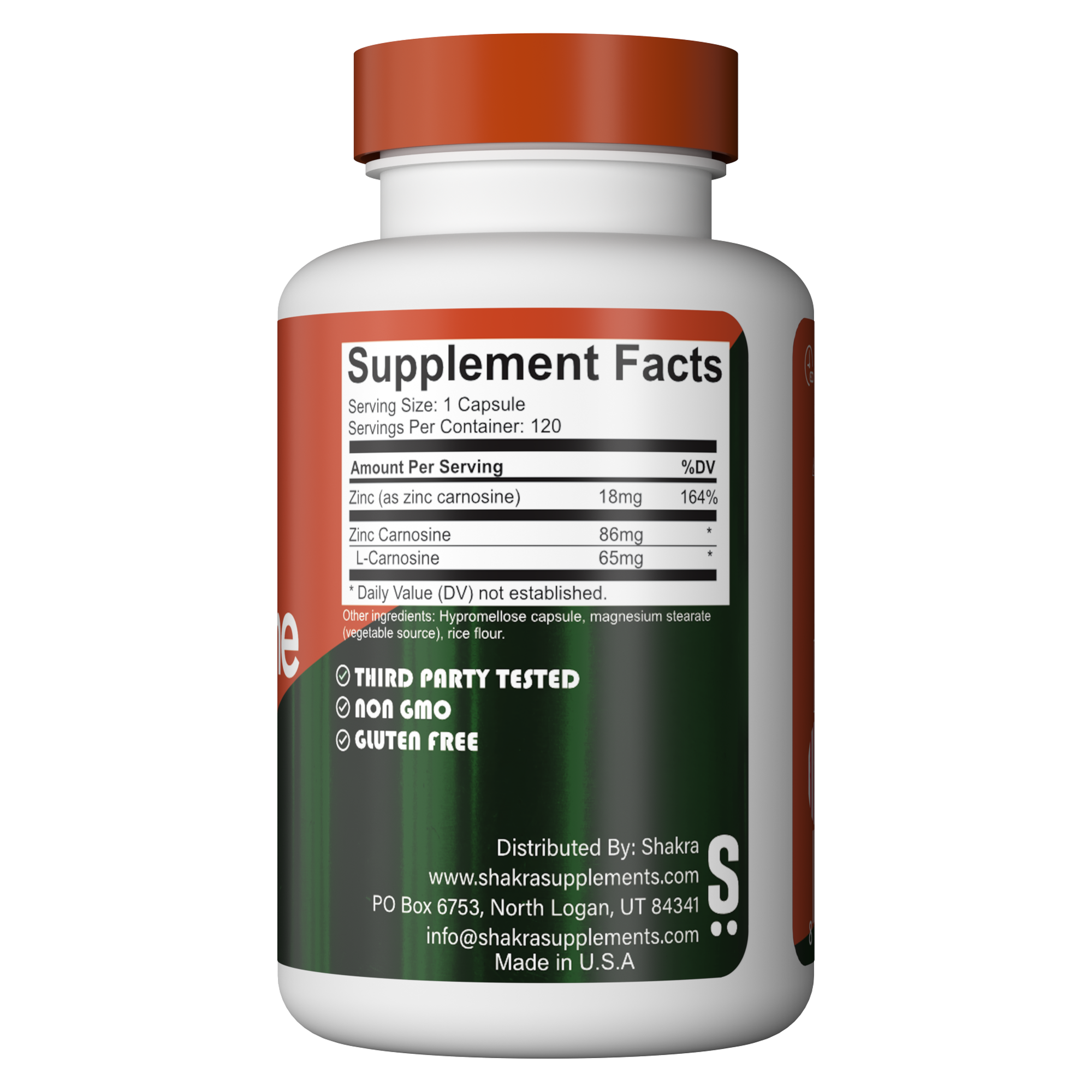 SHAKRA ZINC CARNOSINE 86 MG 120 CAPSULES - 2