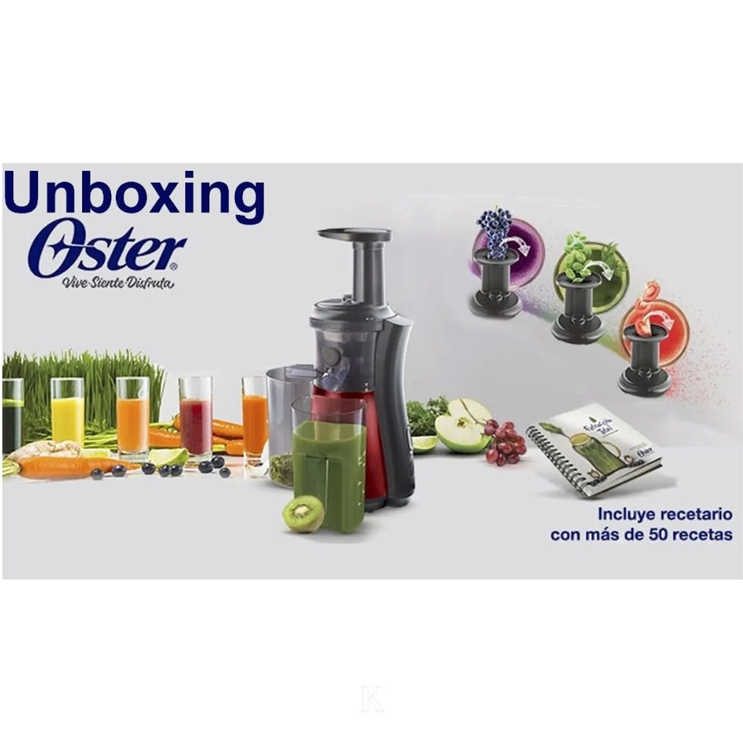 EXTRACTOR POR PRENSADO OSTER FPSTJE4000R 150W - 3