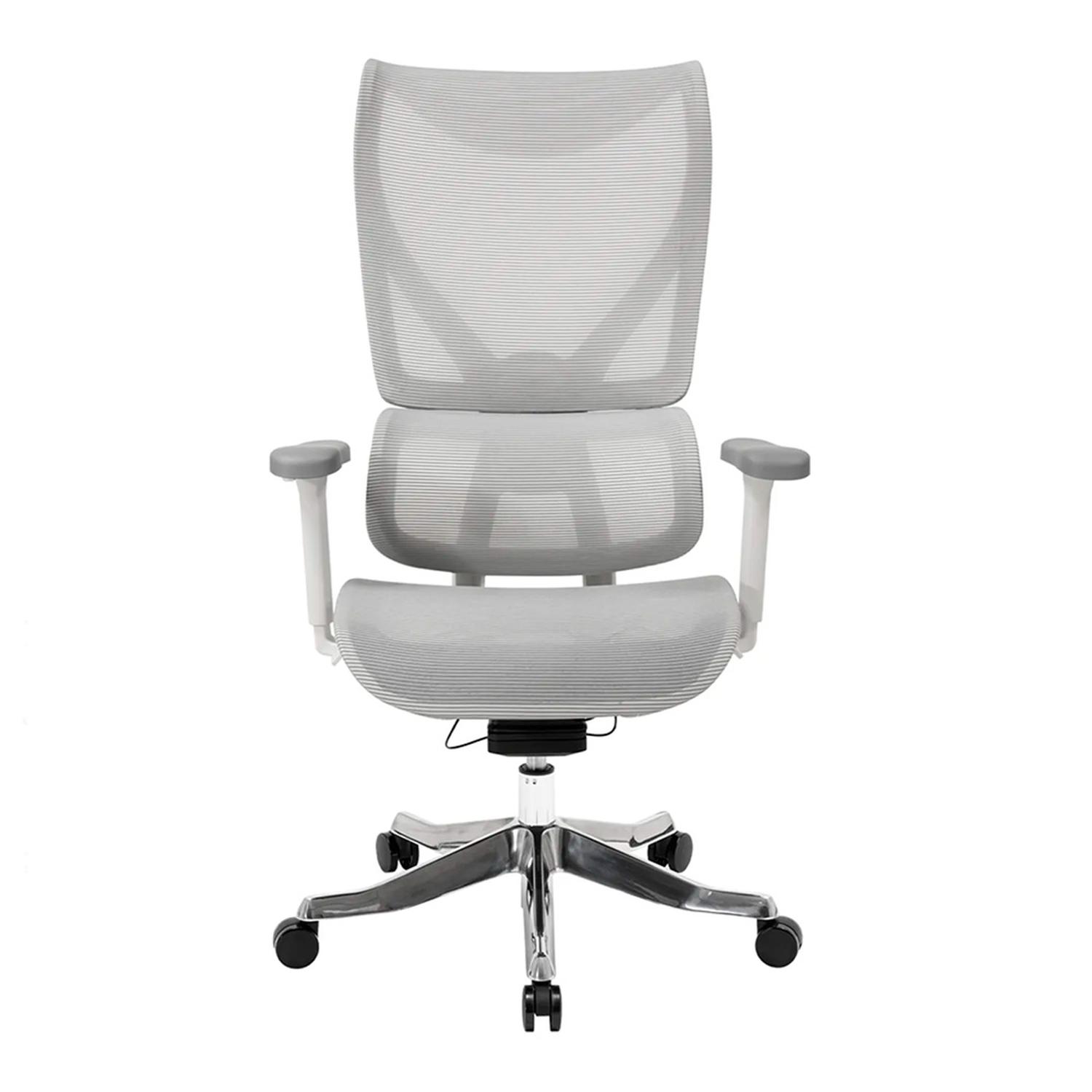 SILLA ERGONÓMICA FLEX PREMIUM GRIS OFIDEAS - 1