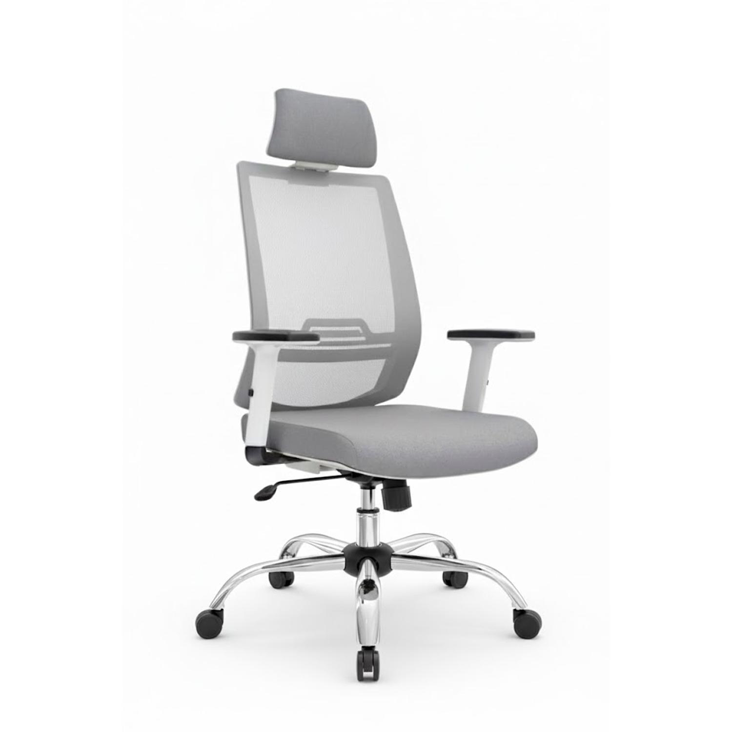 SILLA ERGONÓMICA AERON PRESIDENTE BRAZOS 1D CROMADO GRIS EB OFIDEAS - 1
