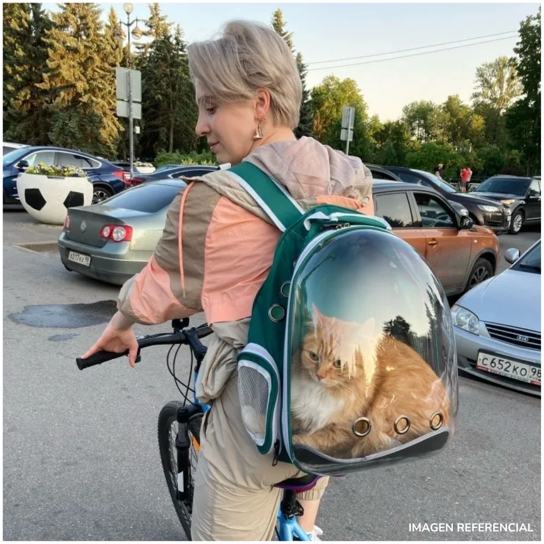 MOCHILA TRANSPORTADORA PARA MASCOTAS GATOS CON CÁPSULA DE BURBUJA TRANSPARENTE - 4