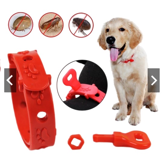 COLLAR ANTI PLAGAS Y PULGAS PARA PERRO Y GATO X 2 UND - 4