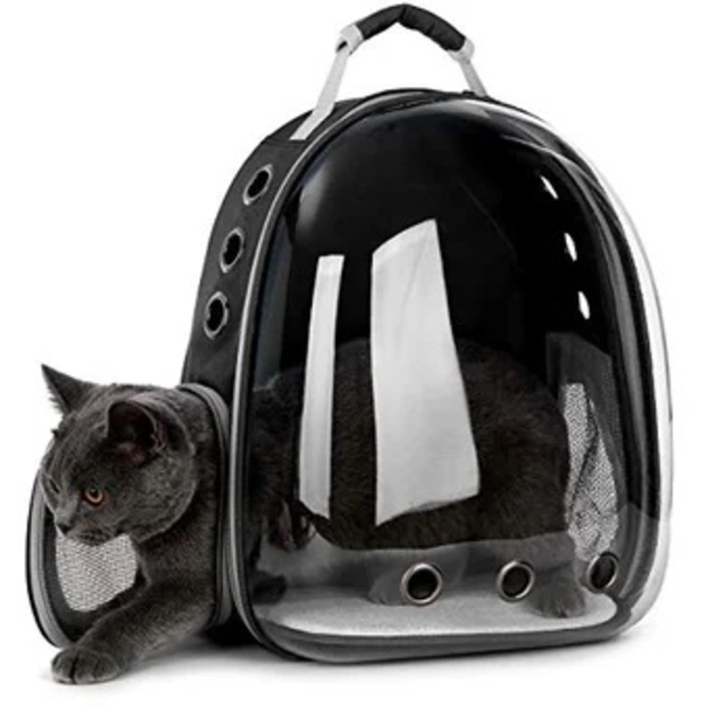 MOCHILA TRANSPORTADORA TRANSPARENTE NEGRO - 2