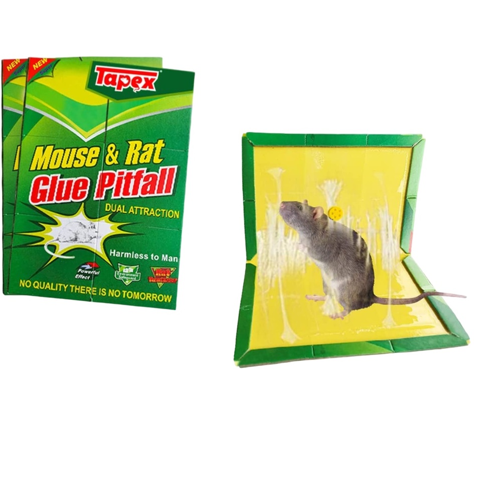 TRAMPA PARA RATAS Y RATONES ADHESIVA X 5 PIEZAS - 2