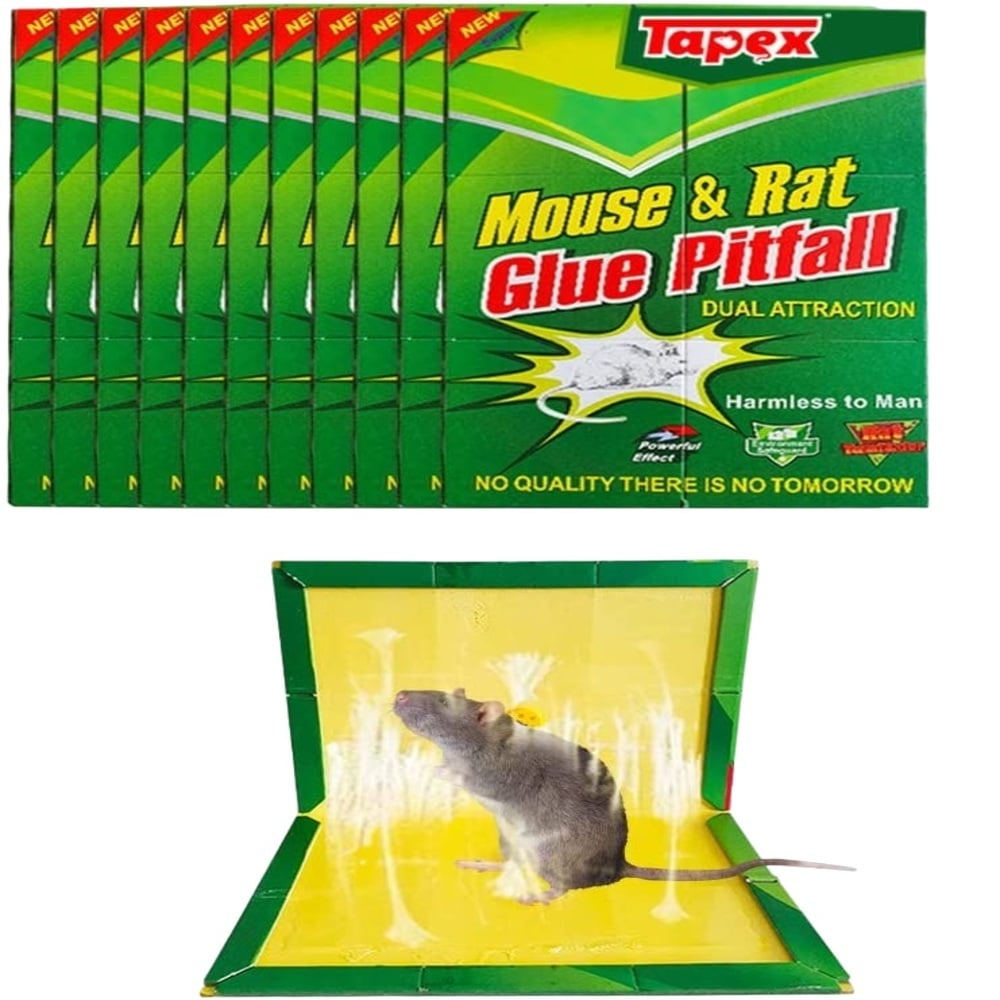 TRAMPA PARA RATAS RATONES PERICOTES PEGAMENTO ADHESIVO 5 UND - 1