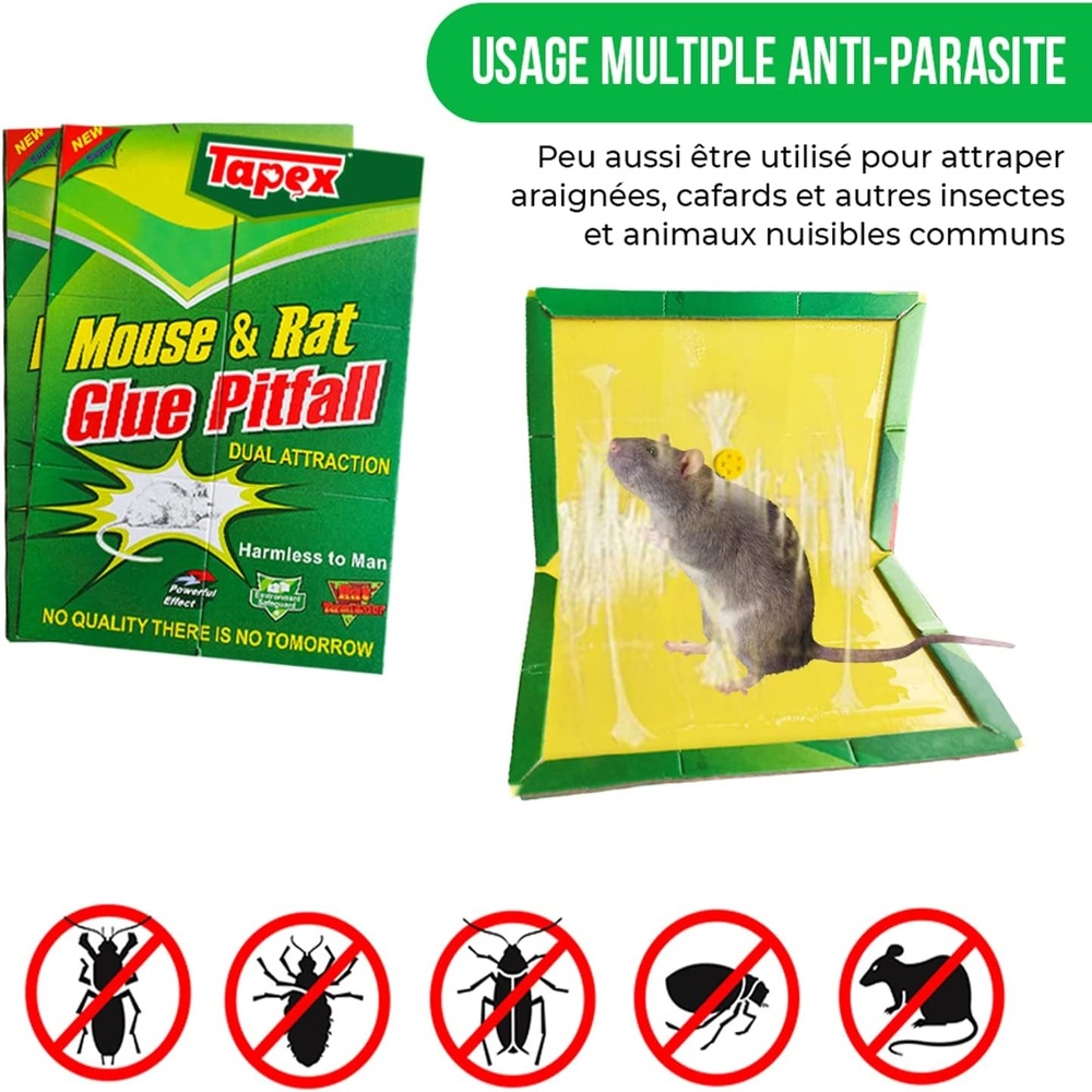 TRAMPA PARA RATAS RATONES PERICOTES PEGAMENTO ADHESIVO 5 UND - 6