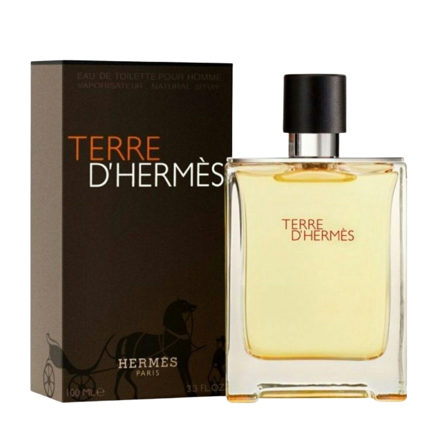 HERMES TERRE D' HERMÉS FOR MEN EAU DE TOILETTE 100 ML - 1