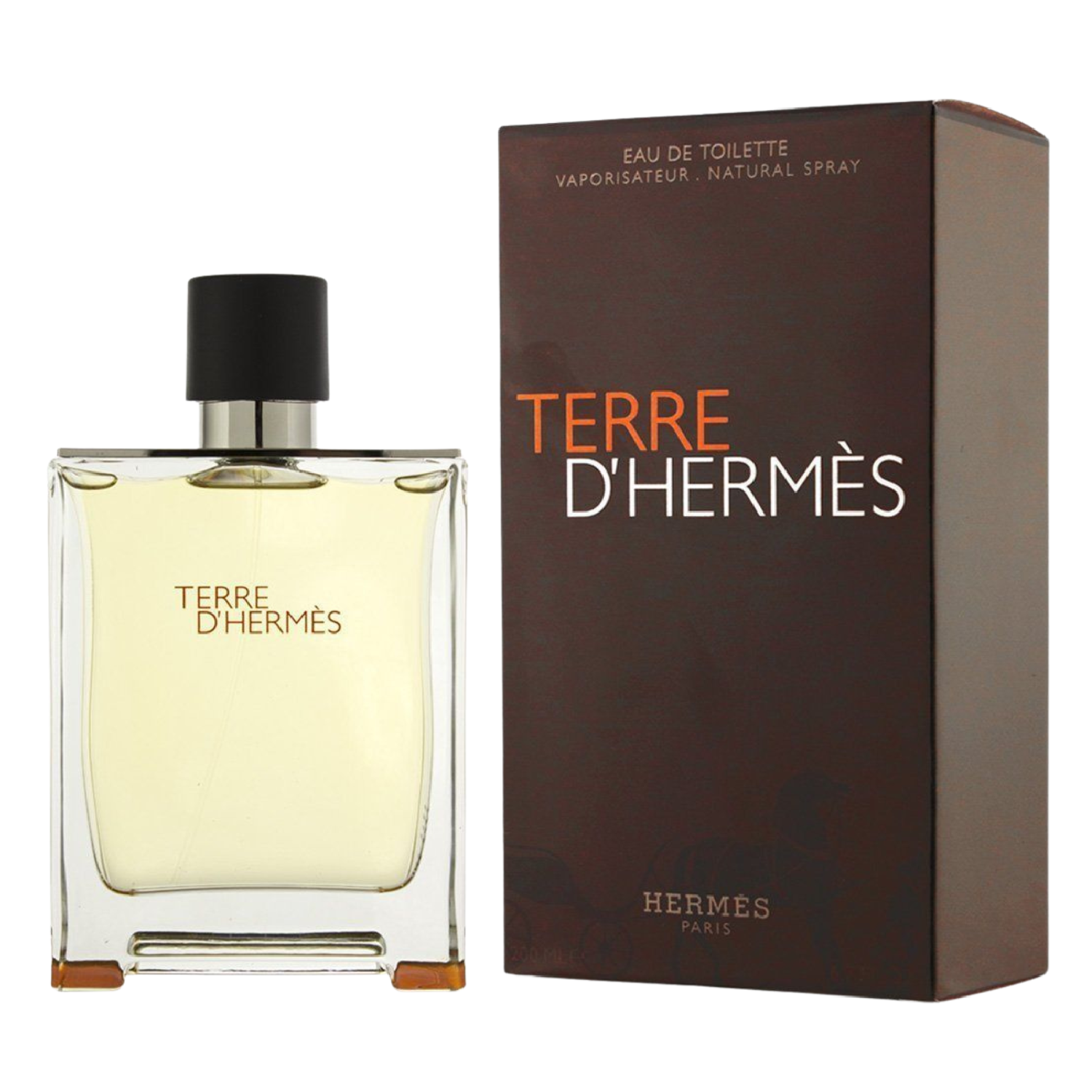 HERMES TERRE D' HERMÉS FOR MEN EAU DE TOILETTE 100 ML - 3