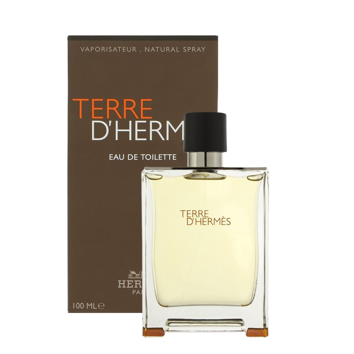 HERMES TERRE D' HERMÉS FOR MEN EAU DE TOILETTE 100 ML - 4