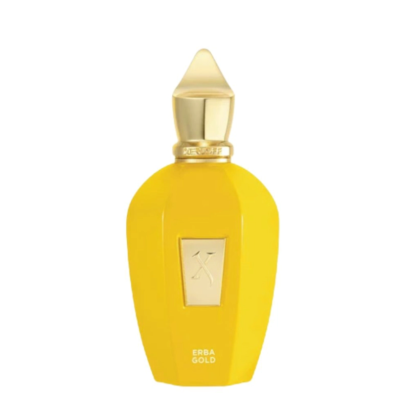 XERJOFF ERBA GOLD EAU DE PARFUM 100 ML - 2