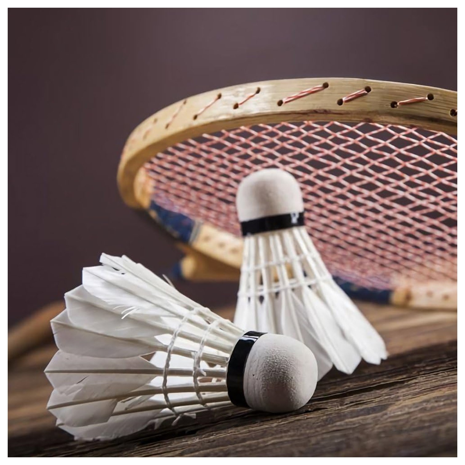 PLUMILLAS DE GANSO PARA BÁDMINTON TORNEO - TUBO (12 UNIDADES) - 5