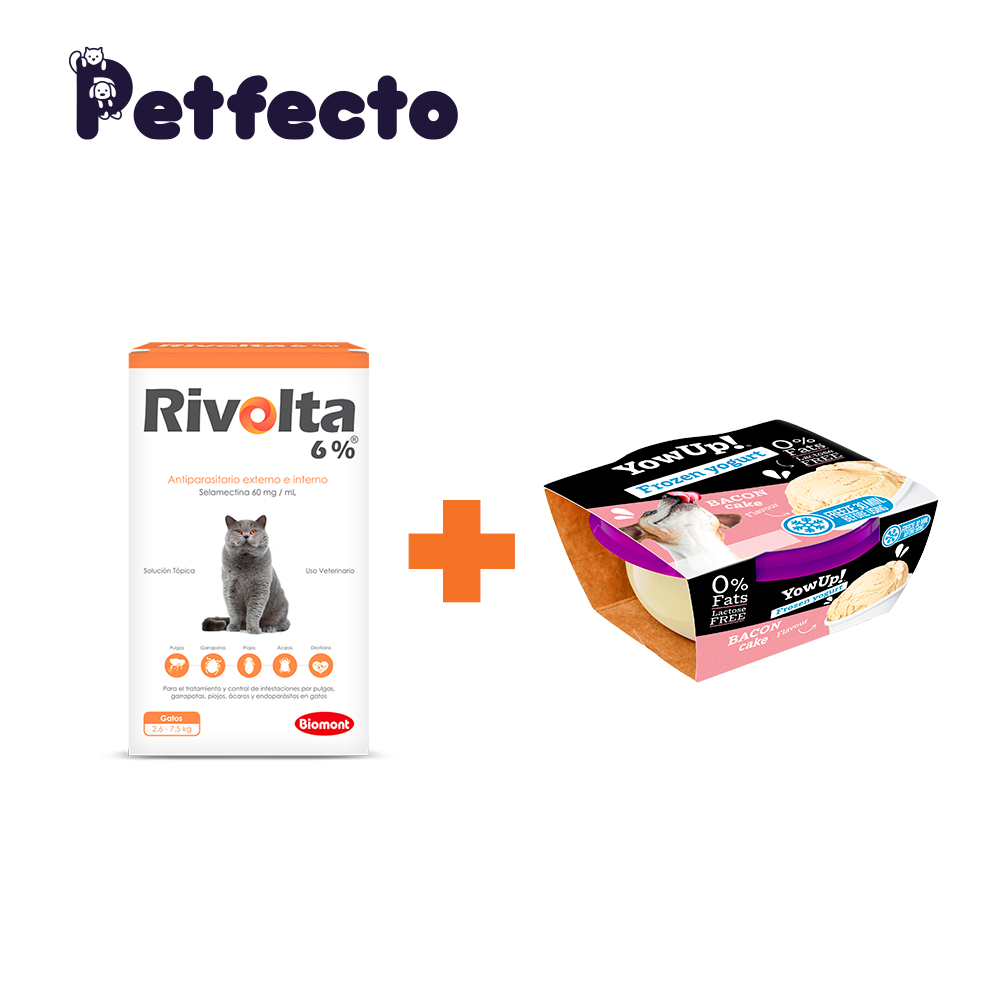 RIVOLTA 6% + 1 HELADO BACON CAKE - 1