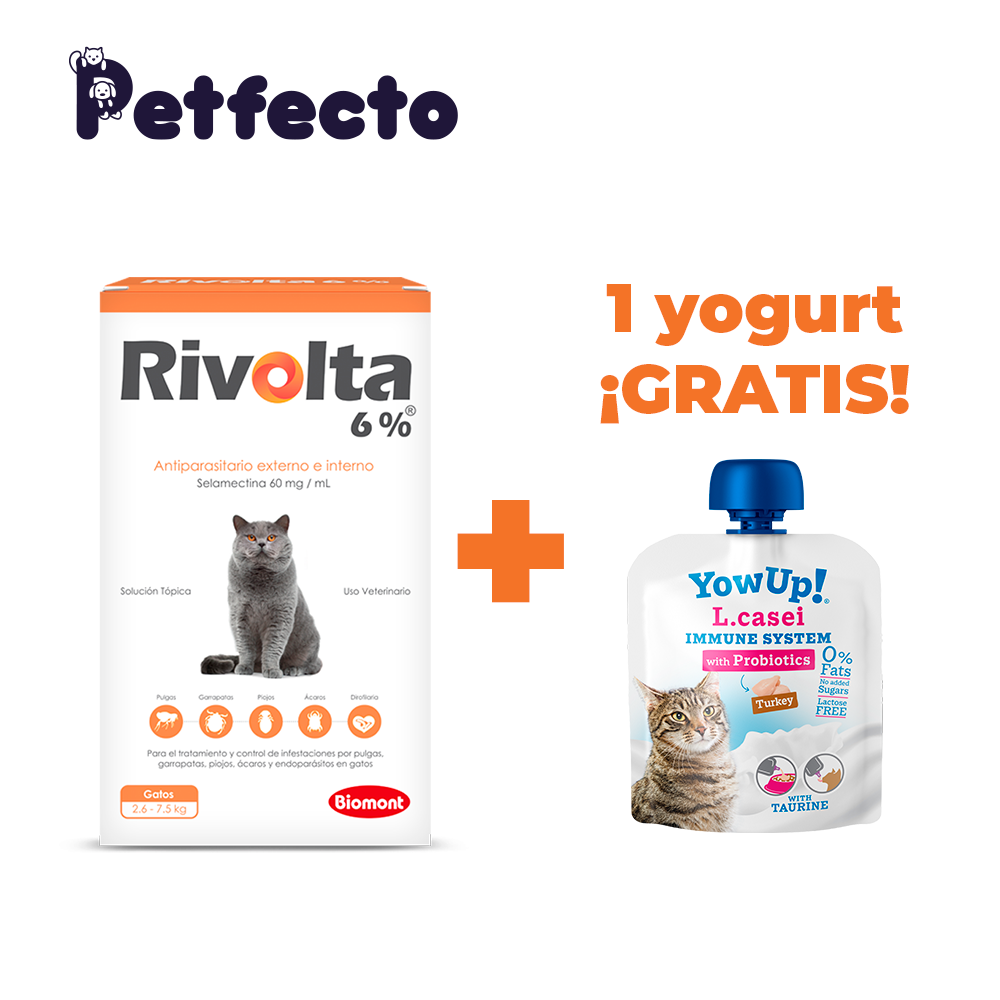 RIVOLTA 6% GATOS + 1 YOGURT PROBIOTICO - 1