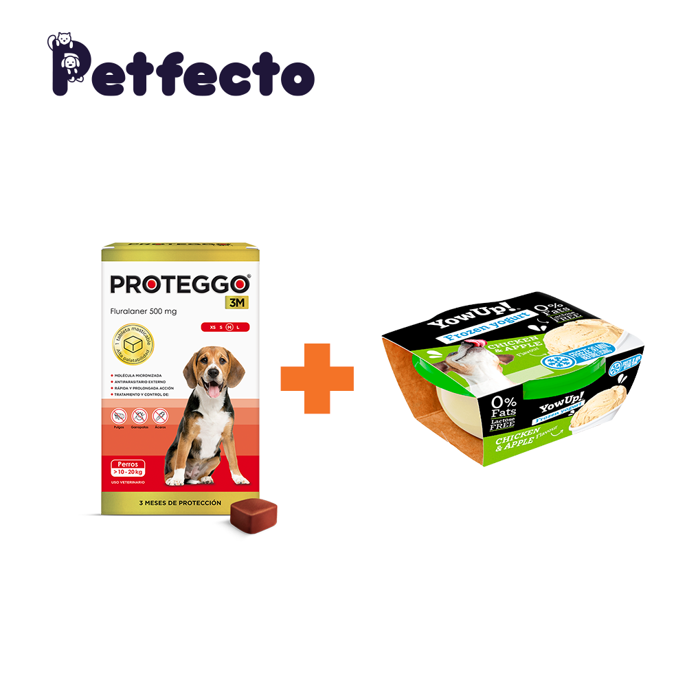 ANTIPULGAS PARA PERROS - 3 MESES (>10 – 20 KG.) +1 HELADO CHICKEN AND APPLE - 1