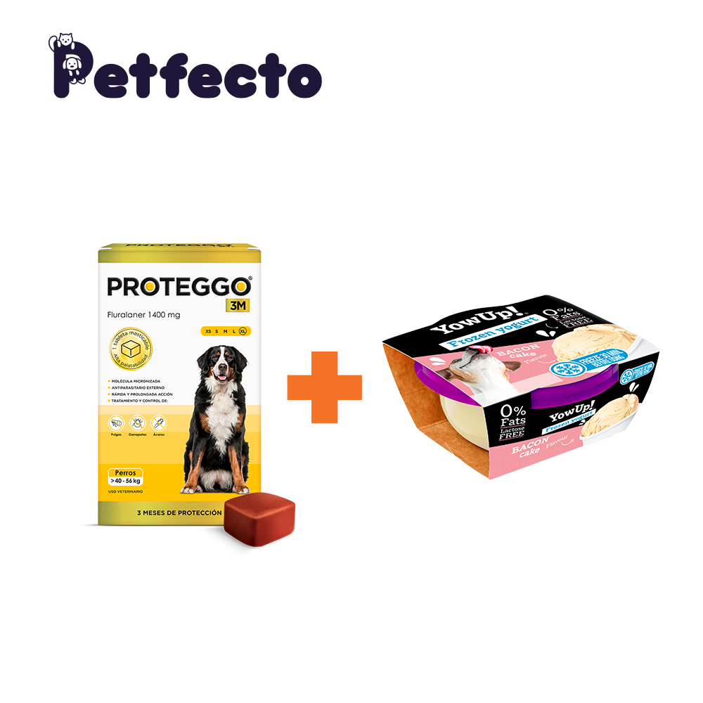 ANTIPULGAS PARA PERROS - 3 MESES (>40 – 56 KG.) +1 HELADO BACON CAKE - 1