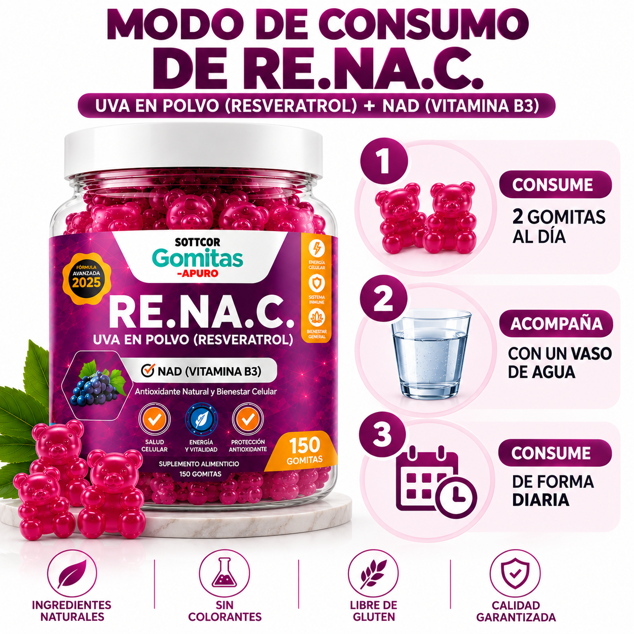 PACK 2 GOMITAS RESVERATROL PARA ADULTOS 300 GOMITAS SOTTCOR LABS - 4