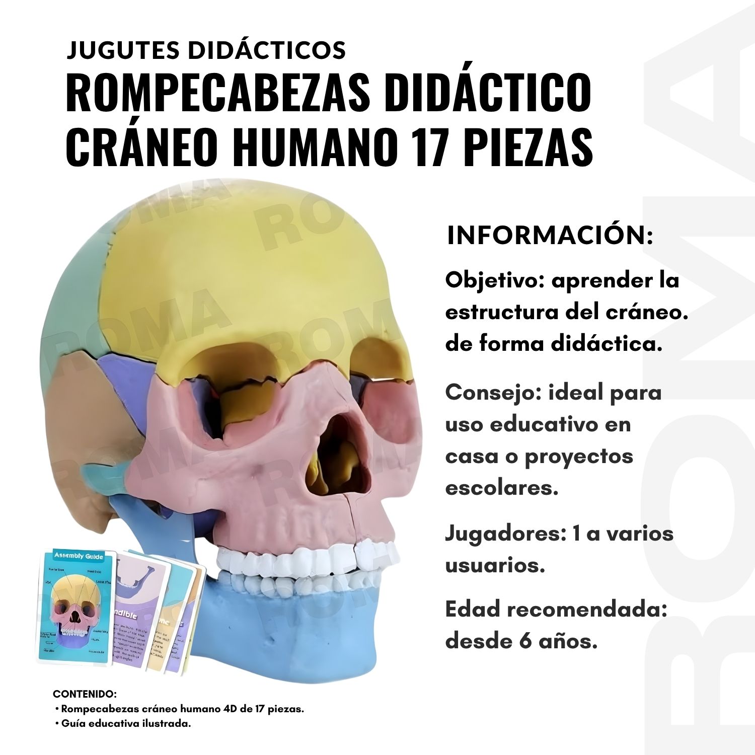 ROMPECABEZAS DIDÁCTICO CRÁNEO HUMANO 17 PIEZAS - 2