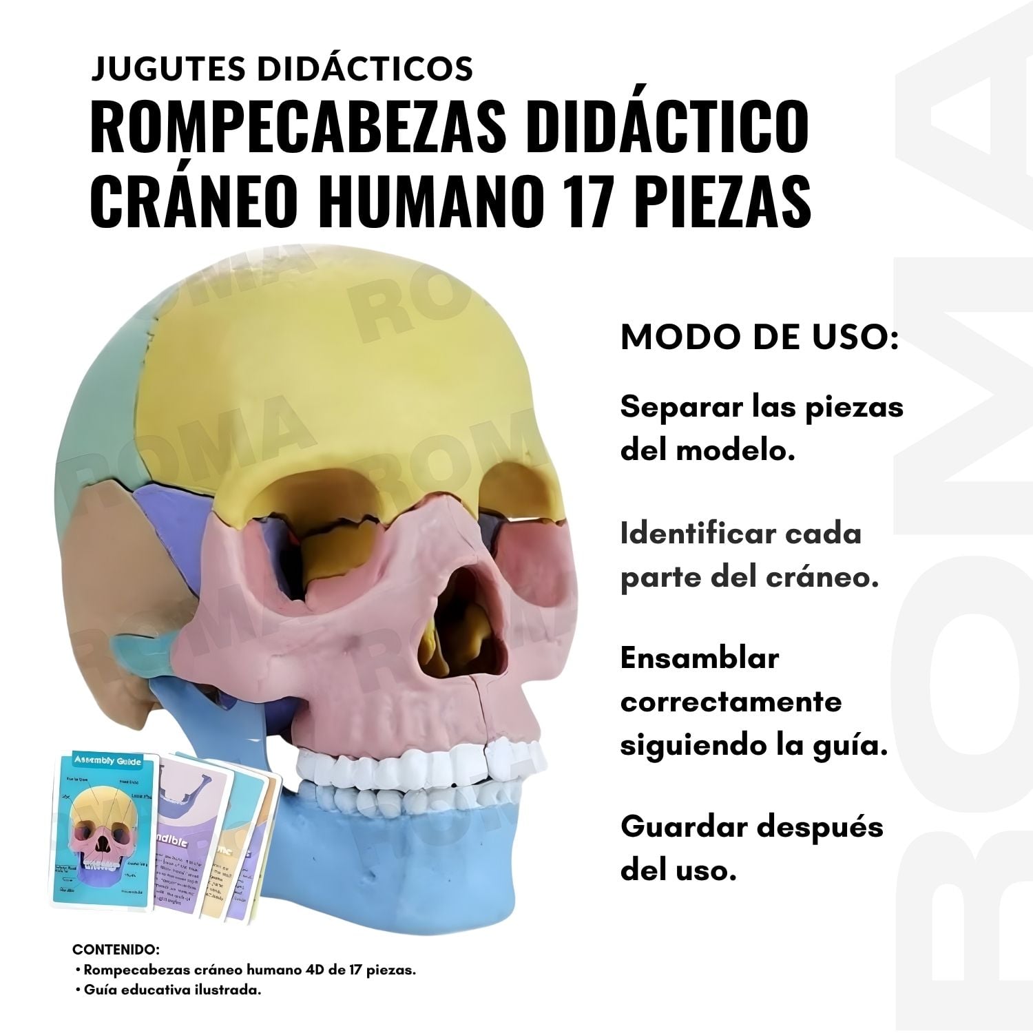 ROMPECABEZAS DIDÁCTICO CRÁNEO HUMANO 17 PIEZAS - 3