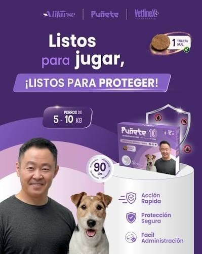 PUÑETE 10 (5 A 10KG) - 1