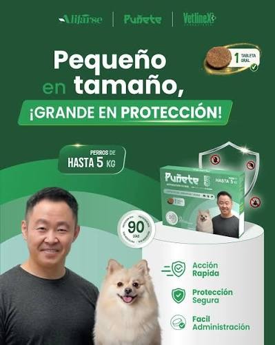 PUÑETE 5 (2 A 5KG) - 1